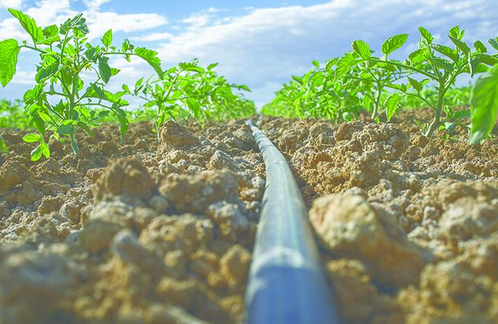 Irrigation Market tab 2