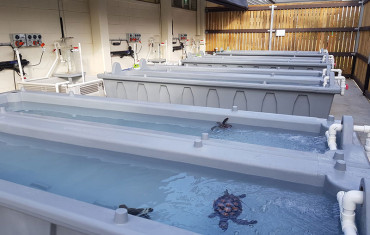 Iplex pipes for James Cook University Caraplace Turtle Research Facility