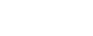 Irribiz logo white