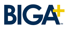 bigaplus logo